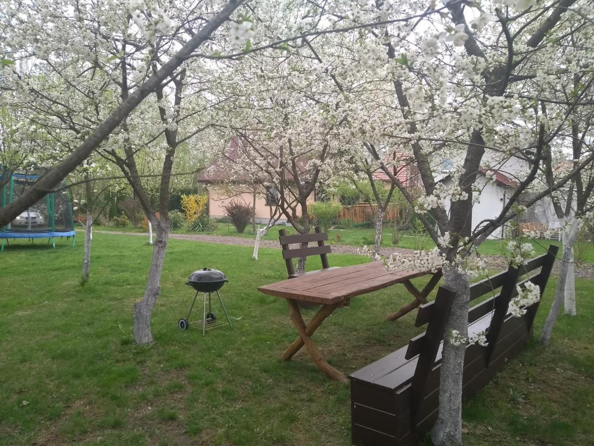 Smyrkowy Dom Z Kominkiem Z Goraca Balia Kolo Karpacza Janowice Wielkie Exterior foto